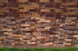 Pedra Ferro em jardim